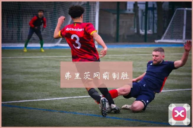 弗里茨网前制胜