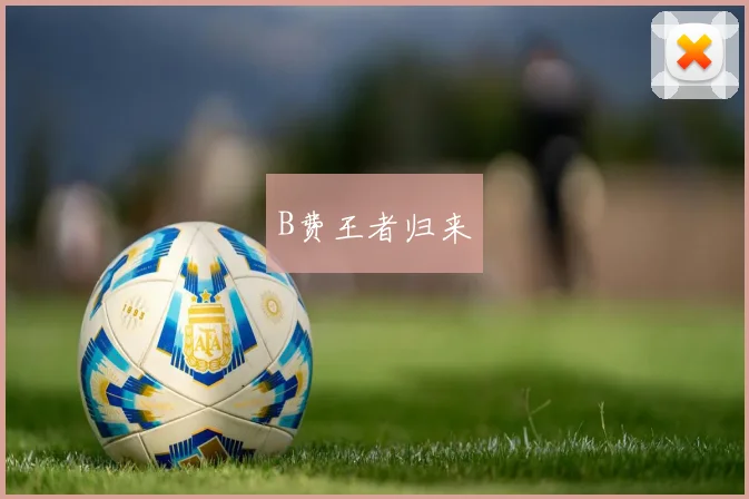 B费王者归来
