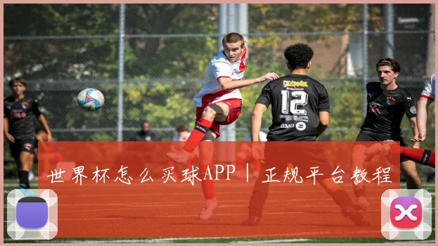 世界杯怎么买球APP｜正规平台教程