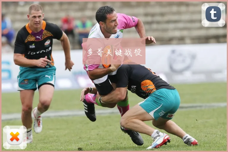 多哥关键战役